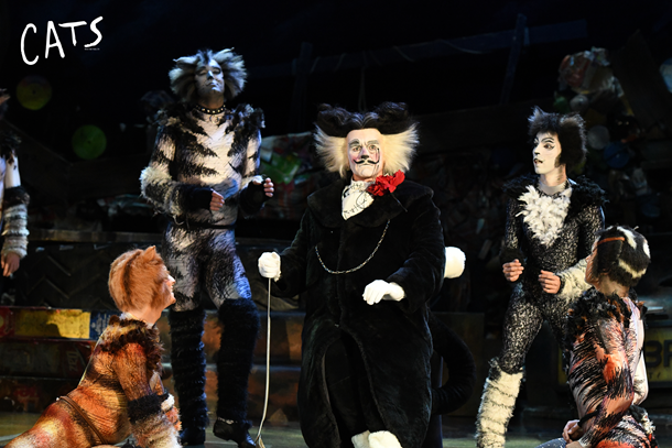 世界经典原版音乐剧《猫》CATS-上海站-有票网