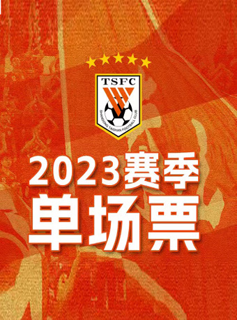 [济南]2023赛季中超联赛山东泰山队主场门票